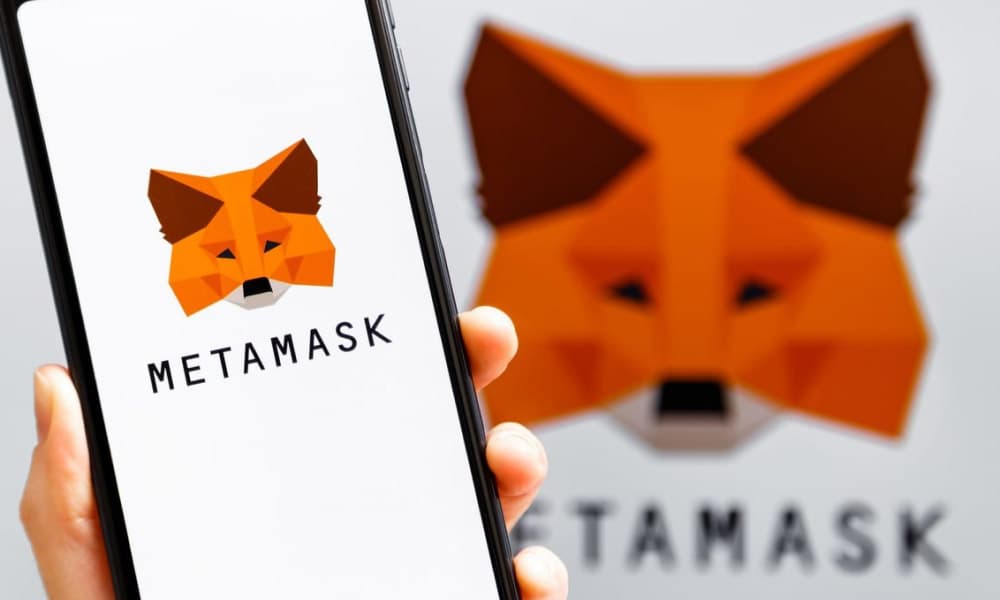 How to Set Up a MetaMask Wallet